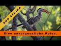 Süd Afrika - Eine unvergessliche Reise