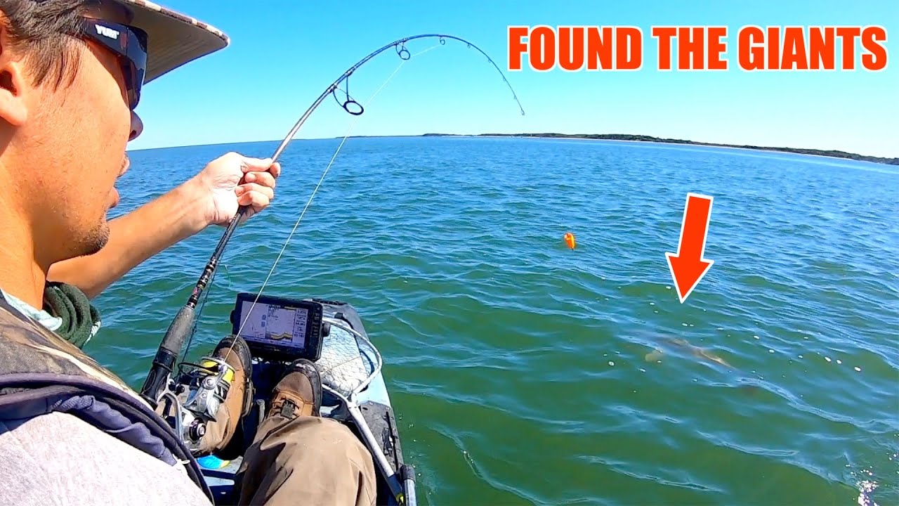 Found A School Of GIANT FISH! (Kayak Fishing Morehead City) YouTube