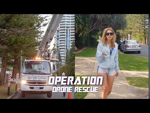 Drone Rescue From A Tall Tree | DJI Mavic Troubleshooting Guide