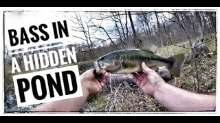 Bass Fishing In The Middle Of Nowhere  bass Fishing A Remote Pond