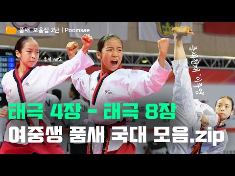 품새 천재 여중생의 태극 4장~8장.zip(Poomsae Taegeuk 4jang~8jang)