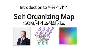[Neural Network 11] 자기조직화지도 Self Organizing Map, SOM