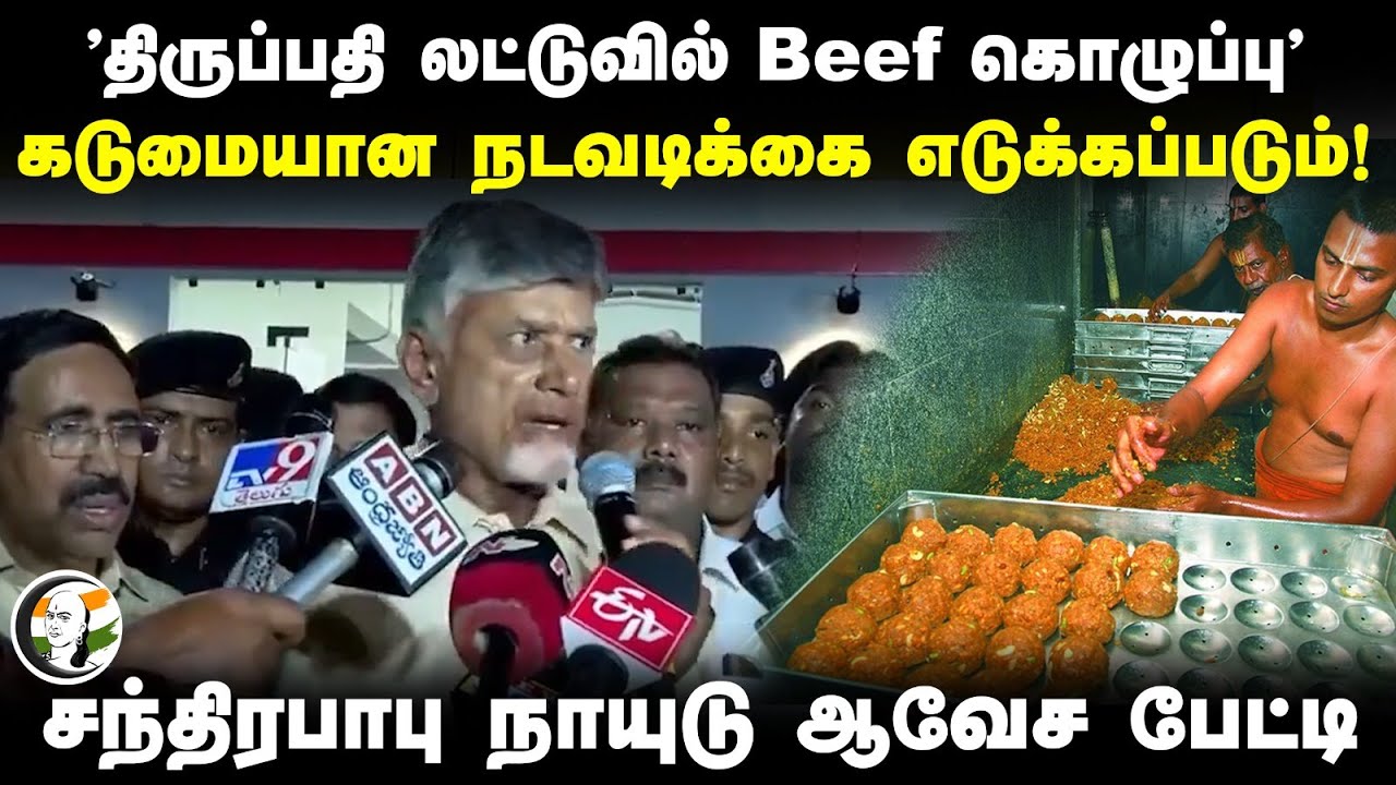 ⁣Chandrababu Naidu Pressmeet on Tirumala Laddu adulteration with animal fat | Jagan Mohan Reddy