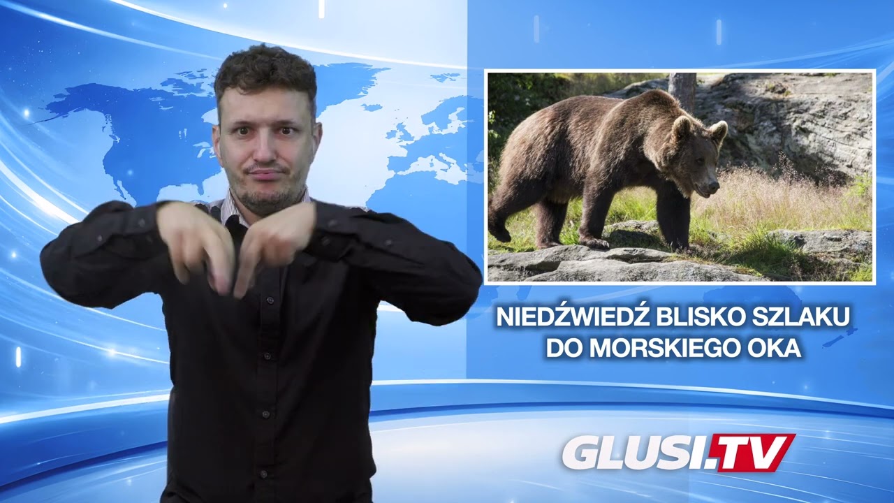 Niedźwiedź blisko szlaku do Morskiego Oka