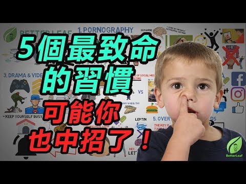 【好葉】5個致命的坏習慣，我中了4個 ! | 可能你也中招了