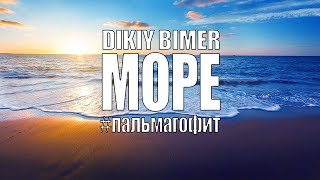 DIKIY BIMER - Море #пальмагофит