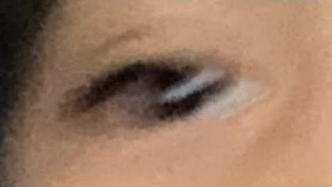 custom nextbot i made in windys nextbots 5