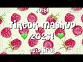 TikTok Mashup 2025 рџ љ TikTok Mashup 2025 рџ љ
