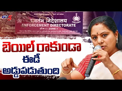 MLC Kavitha Bail Petition : కవిత బెయిల్ పిటిషన్ పై వాదనలు | Delhi liquor Scam Case | Tv5 News - TV5NEWS