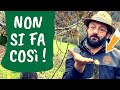 TAGLIARE BENE: 5 errori da EVITARE nella POTATURA