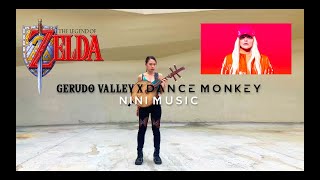 Dance Monkey x Gerudo Valley MASHUP (Chinese Instrument Cover) - Nini Music