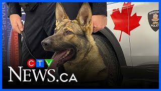 Windsor welcomes new K9 Officer