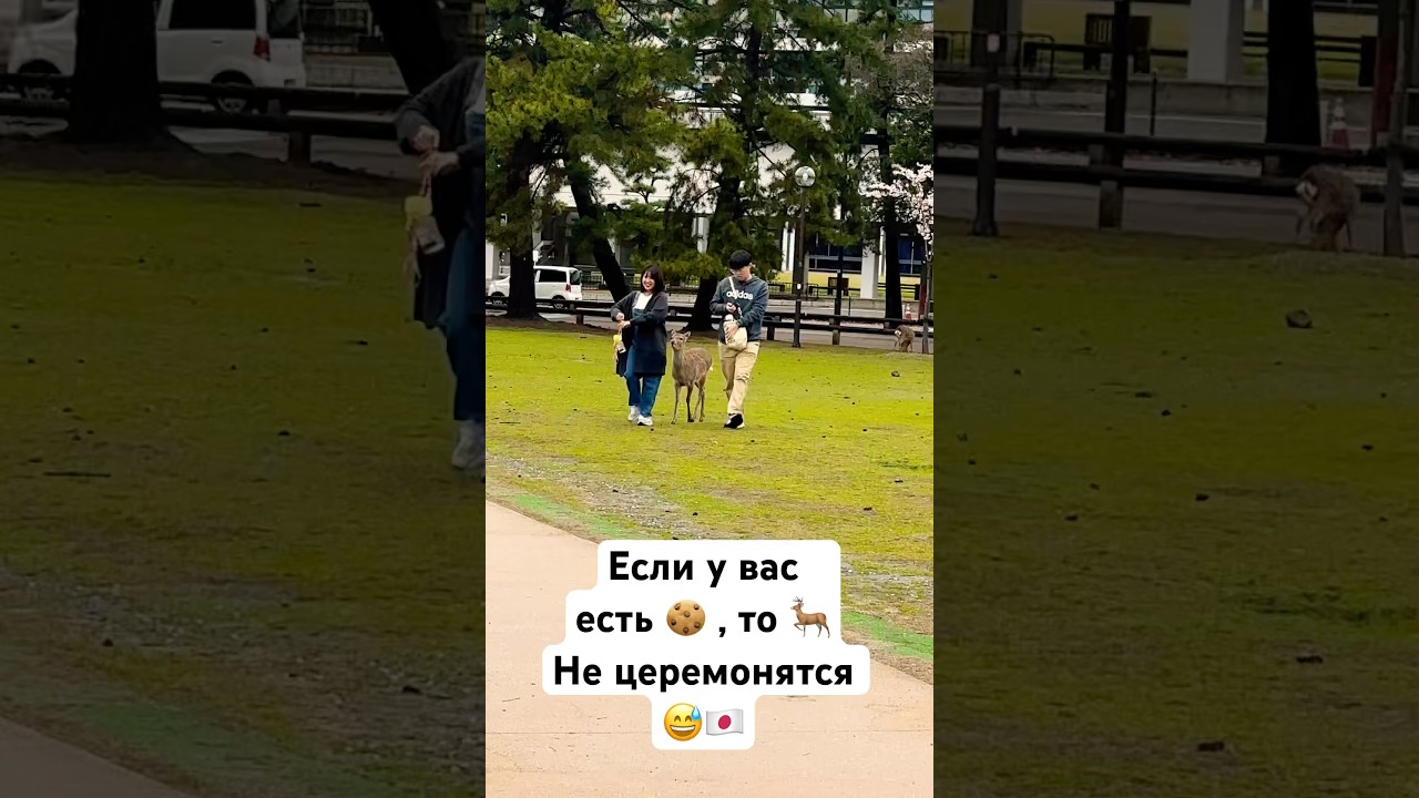 Как же красива 