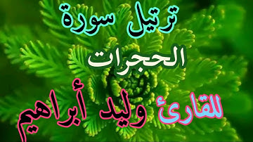 ترتيل سورة الحجر للقارئ وليد ابراهيم