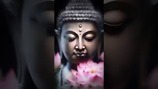 Bhudha status | Jay Bhim status | dj remix | bhim jayanti | 2020 status | Buddha song 💙💫🙏