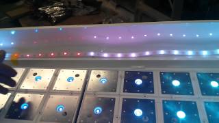 Testing interaction with neopixels in sculpture