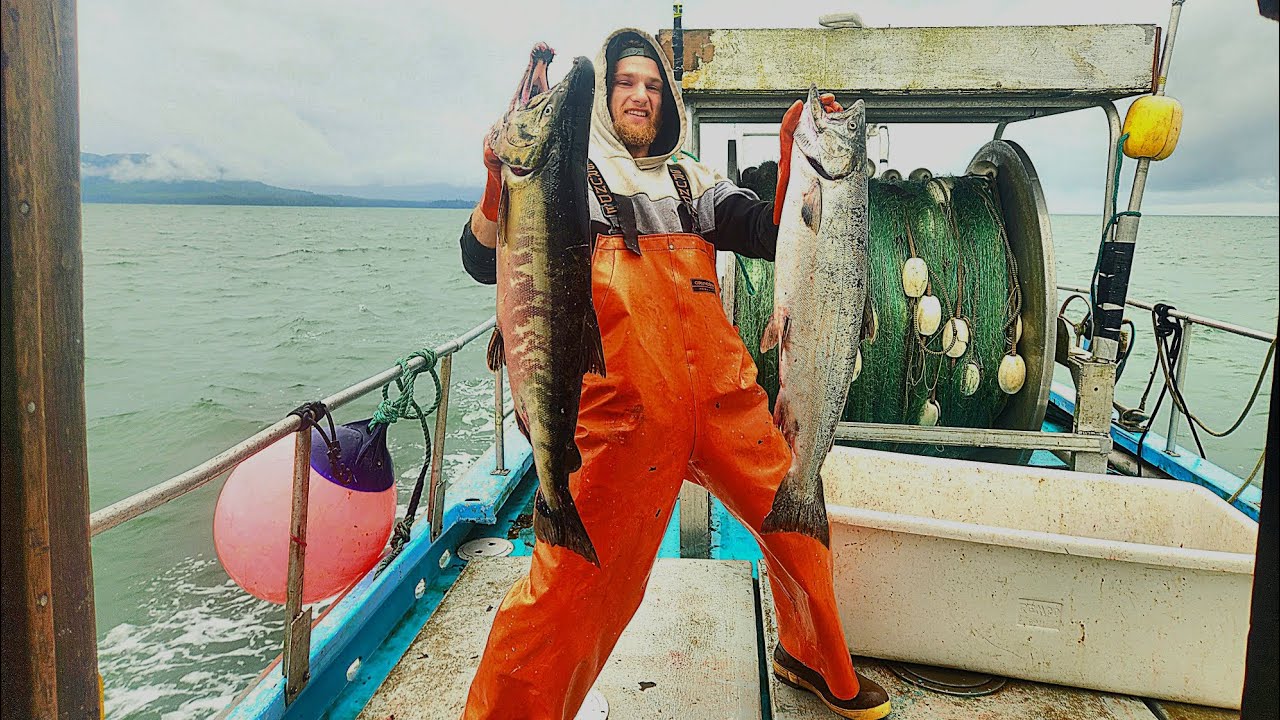Giant bags of fish! Alaska Salmon! Commercial salmon gillnetting with Chris, on F/V Nancy!