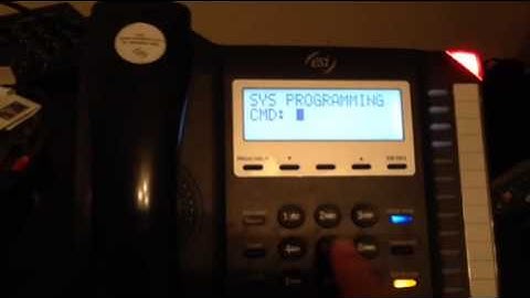 Update time and date on an ESI phone