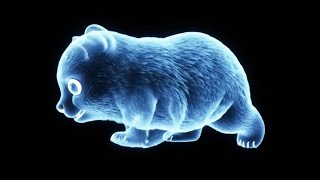 Beautiful Holographic Animals in 3D with Soft Music for Sleep screenshot 2