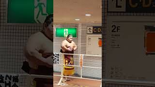 【土俵入り前の落合関】 #大相撲 #sumo #落合