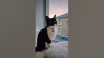 #3dprinting shelf brackets part 2