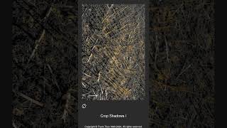 011996 - Crop Shadows I