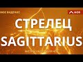 СТРЕЛЬЦЫ | МОЁ ВИДЕНЬЕ | ЭКСТРАСЕНС ЛИЛИЯ НОР