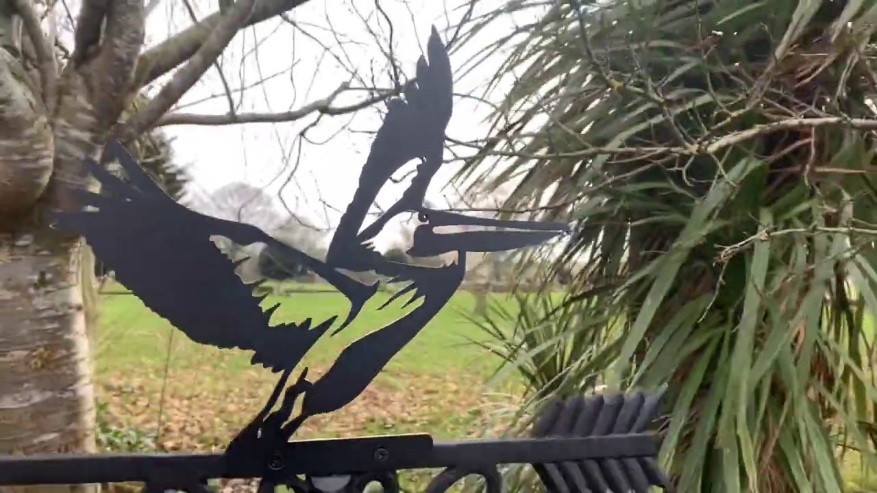 Pelican Cast Iron Weathervane camera iphone 8 plus apk