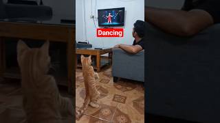 This cat's behavior is always up to something..