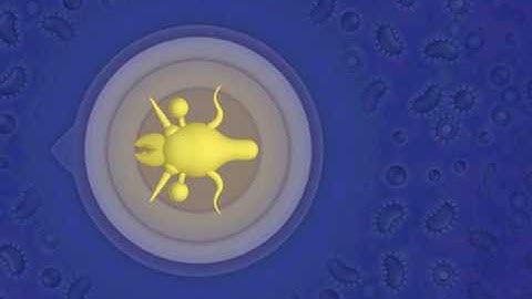 Spore Gameplay: cell stage part 1