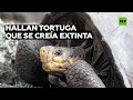 Hallan en Galápagos una tortuga que se creía extinta desde hace más de cien años