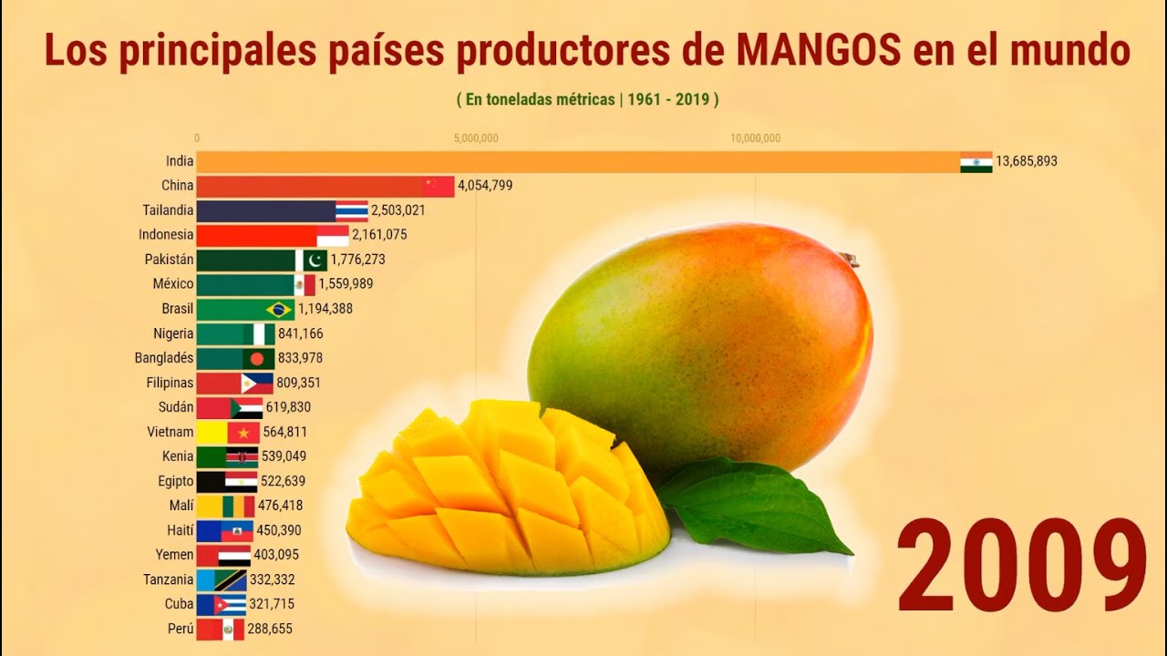 Manabe Mango ¿Cuáles Son Los Principales Productores De Mango – IXDVUA