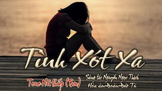karaoke Tình Xót Xa, sáng tác Nguyễn Ngọc Thạch, hòa âm Đoàn Đức Tú, giọng Nữ thấp