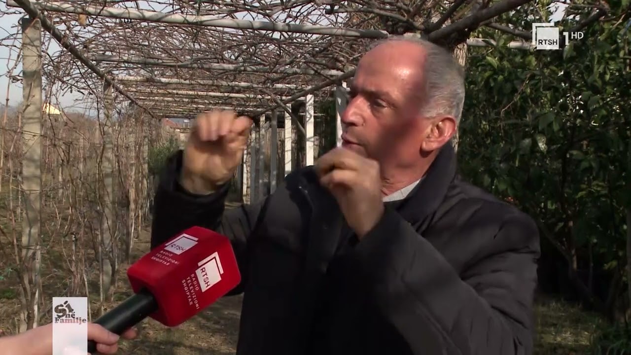 Fruti i kivit dhe kultivimi i tij, Luigj Frangaj – Agronom | “Si në familje”