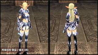 Lineage II: Awakening - Elf R95 Armor