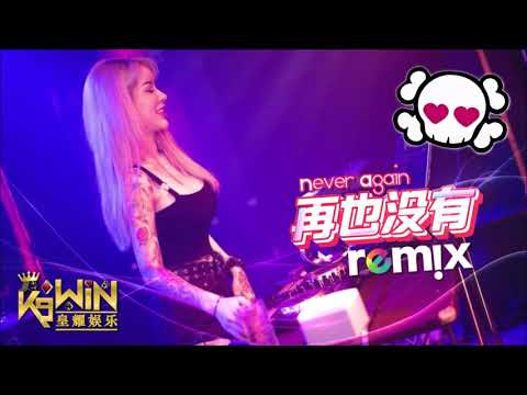 Ryan B & AY杨佬叁   再也没有 Never Again 【DJ REMIX 舞曲】