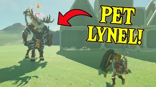 Link Adopts A Lynel Zelda Tears Of The Kingdom