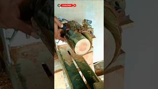 Detailed Mango Tree Bark Stripping Technique — Precise Peeling, Fiber Cleaning .