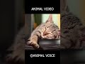 99% Fail This Animal Sound Challenge 😱🔥 #shorts