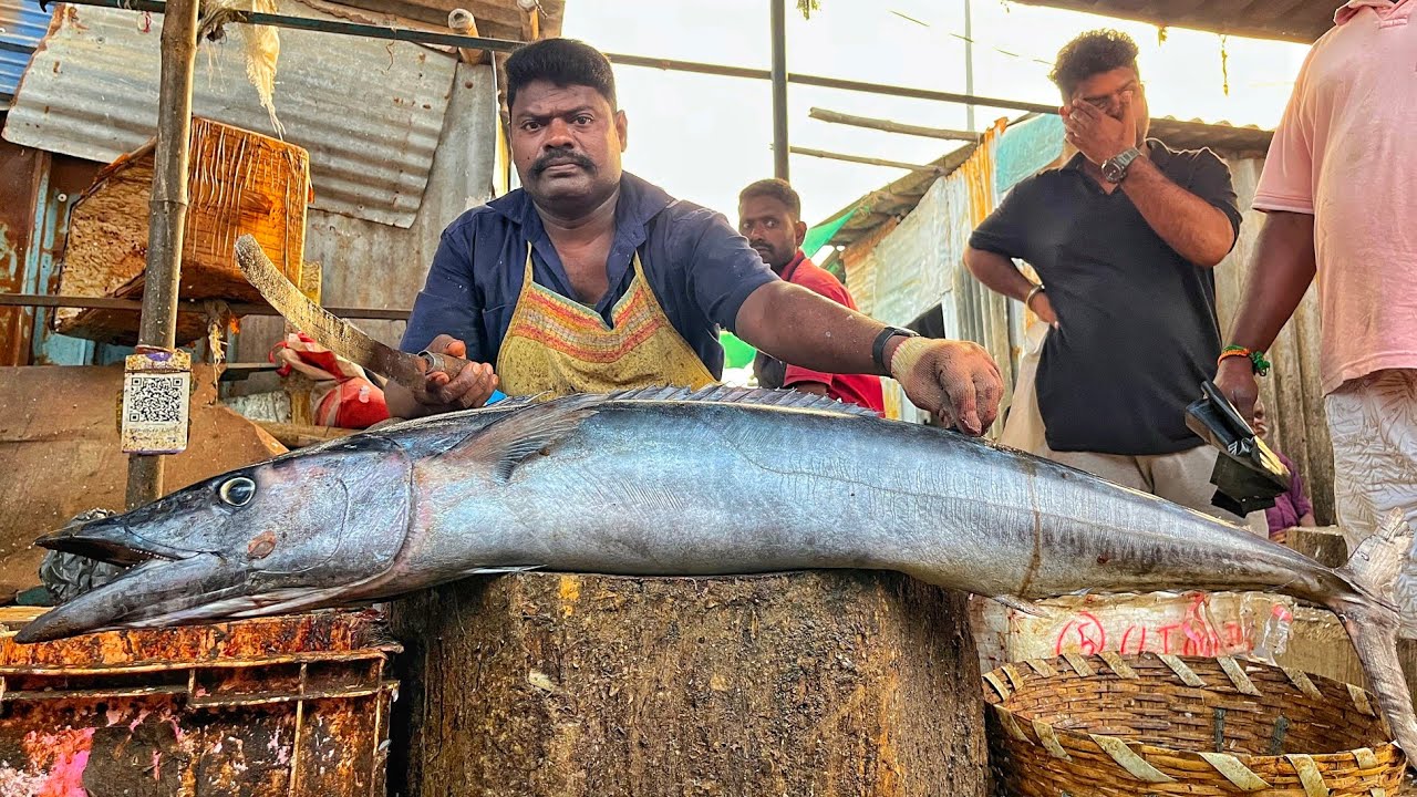 KASIMEDU 🔥 SPEED SELVAM | BIG SIZE AARA KOLA FISH CUTTING VIDEO | 4K VIDEO | KM FISH CUTTING 