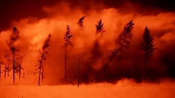 Mute The Tape - Asking for More