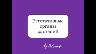 Вегетативные органы растений. Корень, стебель, лист, почка. Подготовка к ЕГЭ