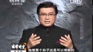 20140424 法律讲堂（生活版） 胎儿被盗之谜
