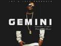 GemStones a.k.a. Gemini - Warning