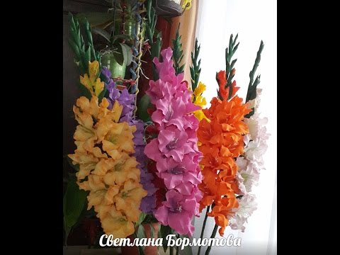 Video: Ajoyib Gladiolus Modaga Qaytdi