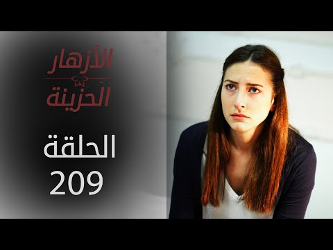 مسلسل الأزهار الحزينة الحلقة 209 الموسم الثاني
