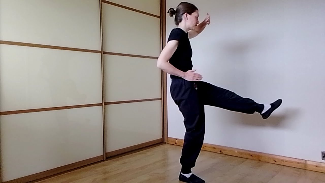 Leading Hand Form Li Style Flying Hand Form Moves 6 to 10 - YouTube
