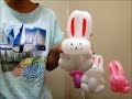 【造型氣球。動物】Q版 兔子  ／One Balloon Animal: Rabbit (cute version)