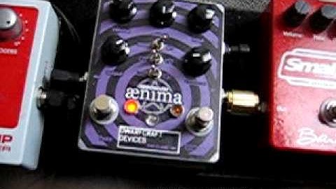 Kevin Ian Common Spectacular Aenima Demo 1