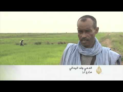 اقتصاد المنتصف 17/10/2015